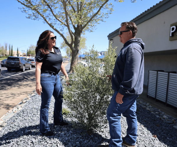Two people stand on a gravel strip beside a small tree and a landscaped bed near a storefront, talking on a sunny day with parked cars along the street.